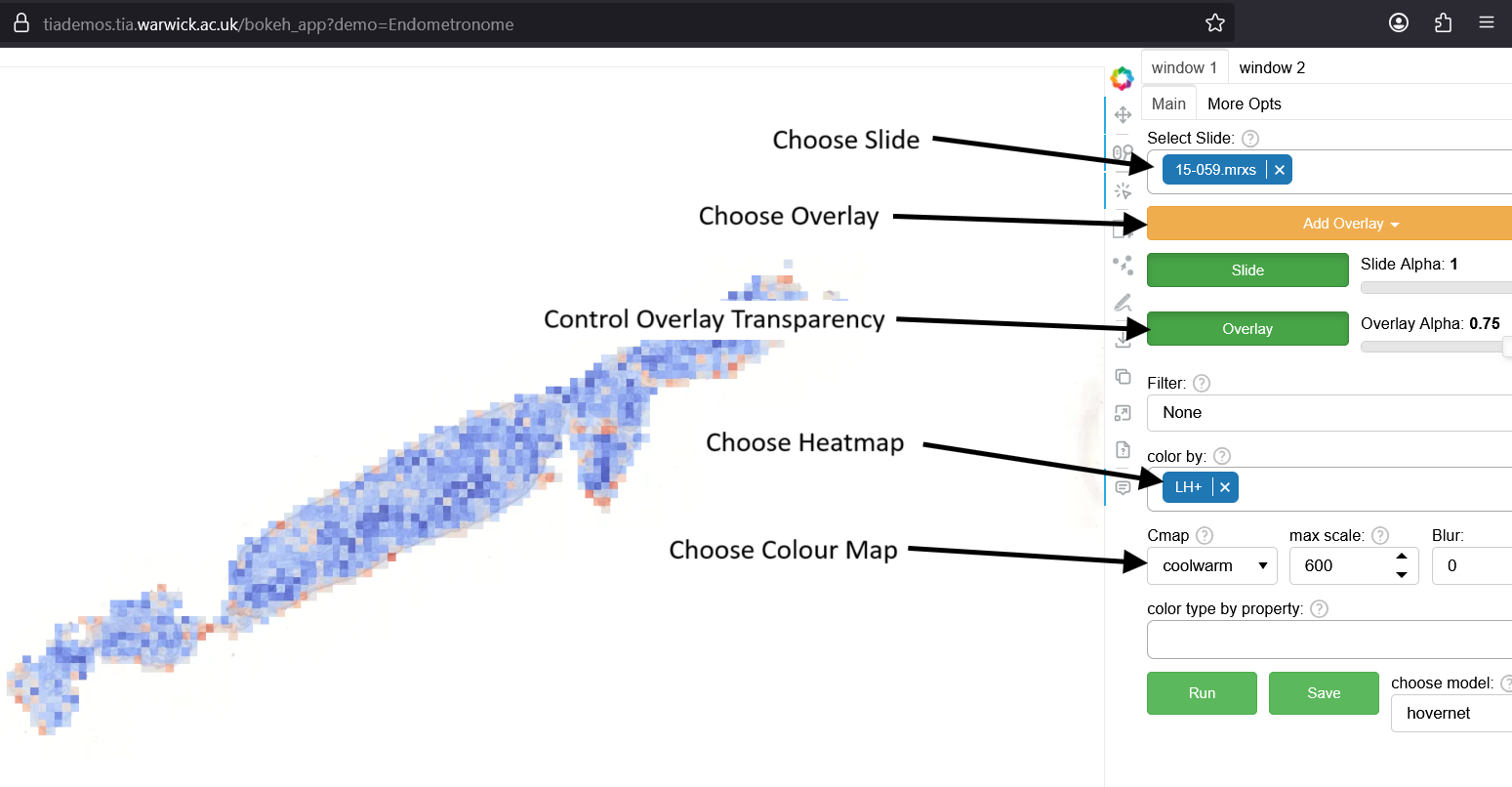 Guide illustration for using the visualization tool
